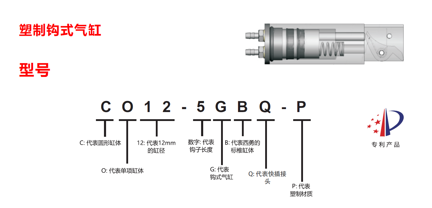 CO12-5GBQ-P CO12-5GBQ-P