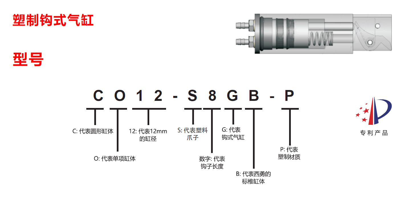 CO12-S8GB-P