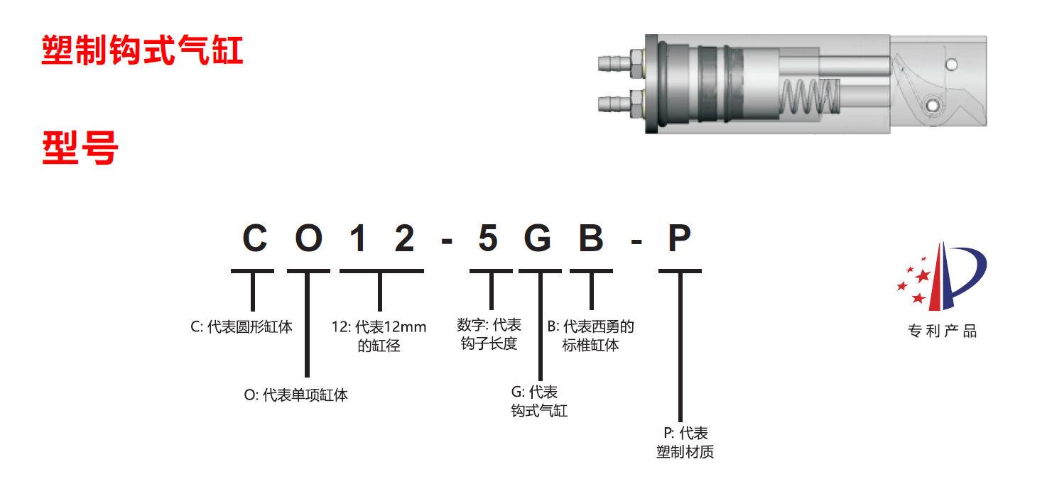 CO12-5GB-P