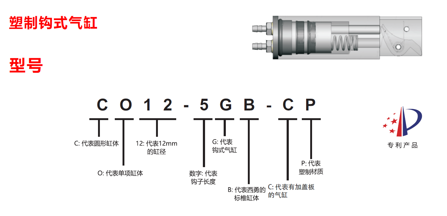 CO12-5GB-CP CO12-5GB-CP